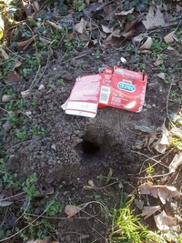 Pour les amoureux de la terre