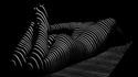 Des courbes et des ombres