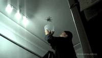 Attraper une araignée en une leçon