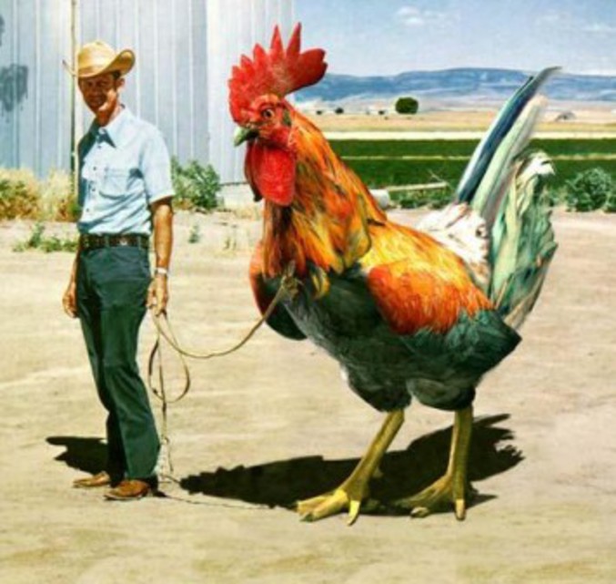 Man with large cock.