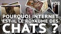 Pourquoi Internet est le royaume des chats ?