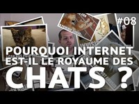 Pourquoi Internet est le royaume des chats ?