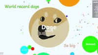 Agario: A doge journey