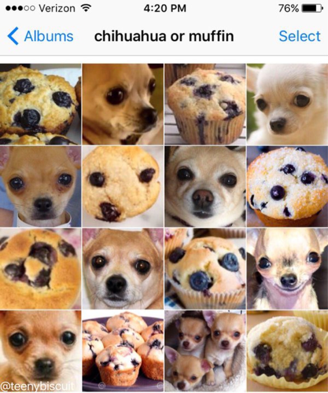 Ou muffin ?