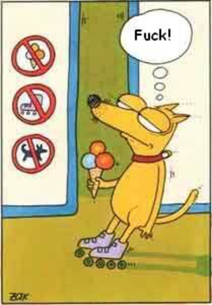 Un chien qui est interdit d'accès