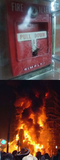 Araignée + conséquence