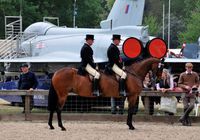 Long cheval