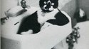 Chat cool 3
