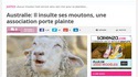 Il insulte ses moutons
