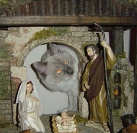 Mylo s'intéresse à la crèche