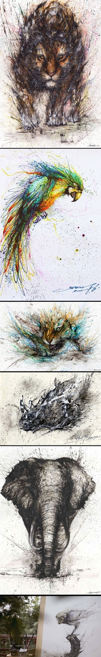 Animaux peints par projection