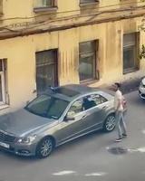 Un jeune corbeaux sur sa voiture.