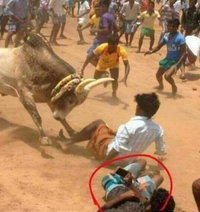 Toujours prendre des photos