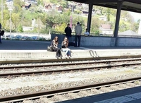 Sélection naturelle