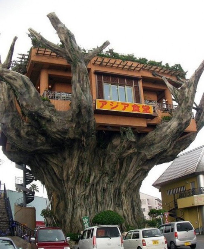 Un restaurant japonais placé dans un arbre.