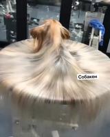 J’espère qu’il a de longues pattes 