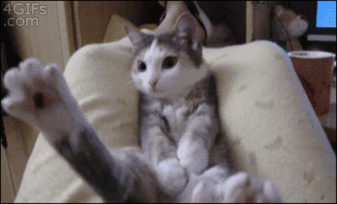 on joue à chat caché ?