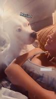 Challenge bark on your dog 