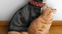 Photo de famille 79