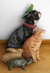 Photo de famille 79