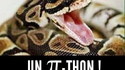 Comment appelle-t-on un serpent de 3,14 m?