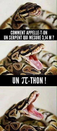 Comment appelle-t-on un serpent de 3,14 m?