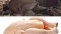La position du poulet