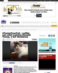 #TrumpYourCat