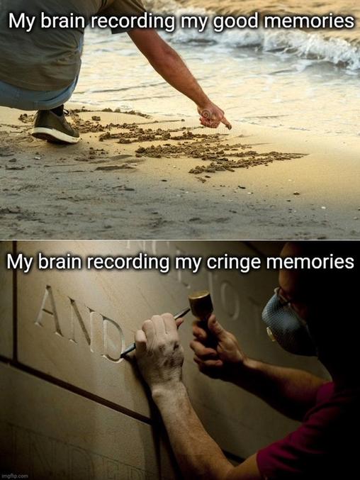Comment mon cerveau enregistre les bons souvenirs 
Et
Comment mon cerveau enregistre les mauvais souvenirs.