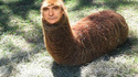 Serge Lamasticot