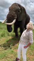 Quand éléphant affamé...