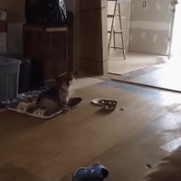 Quand tout le monde te dit que t'as besoin de lunettes...