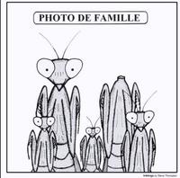 Famille dysfonctionnelle 