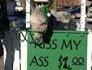 Jouer sur les mots : Embrassez mon âne pout 1 dollar