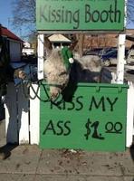 Jouer sur les mots : Embrassez mon âne pout 1 dollar