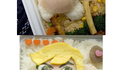Bentos 14