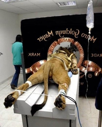 MGM