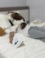 Étrangement ces trois derniers maîtres ont été retrouvés morts 