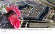 Spy Poule 