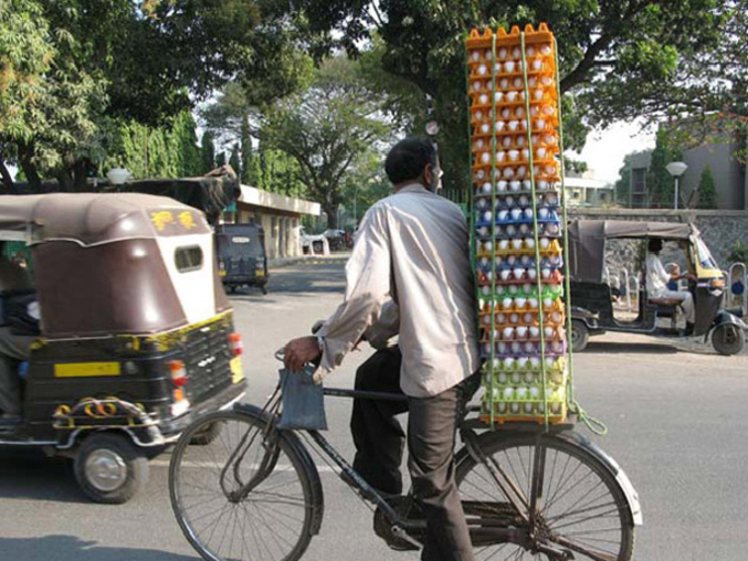 Un transport d'oeufs risqué à vélo.