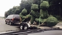 Décoration de jardin