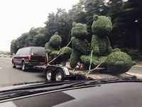 Décoration de jardin