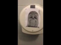Chewie is everywhere