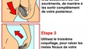 Trois coquillages