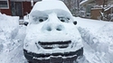Shrekomobile