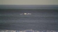 Go-fast VS vagues