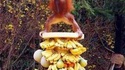 Le roi des bananes !