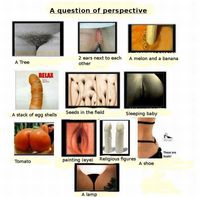 Questions de point de vue