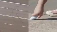 Adjonction de deux vidéos