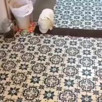 Craignez le lapin de Caerbannog, païen !